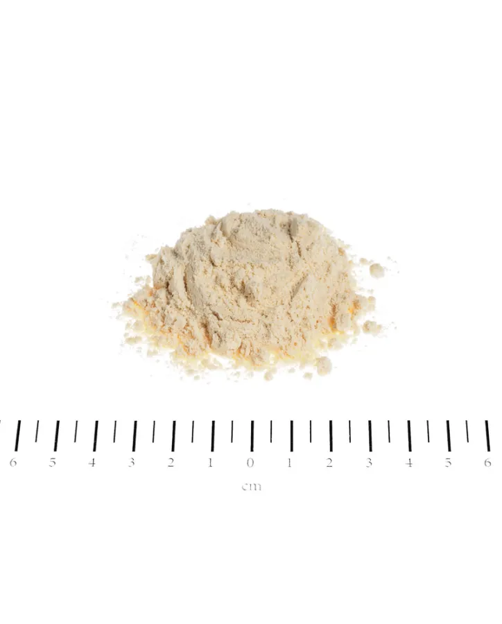 Mléko pro štěňata