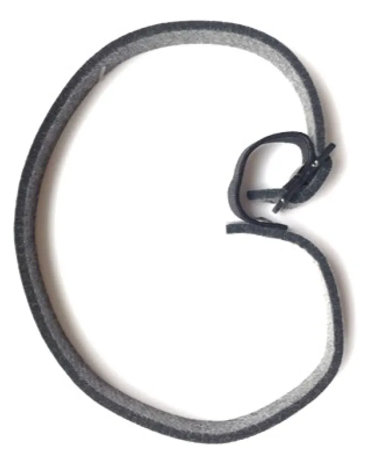 PETVITAL Obojek na klíšťata a vnější cizopasný hmyz