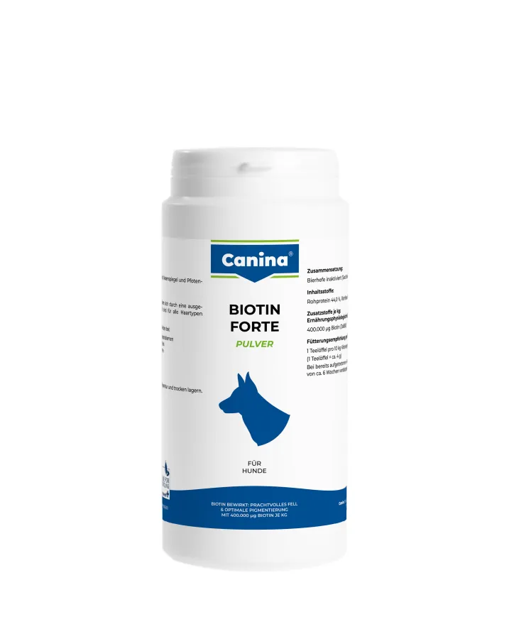 Biotin Forte prášek